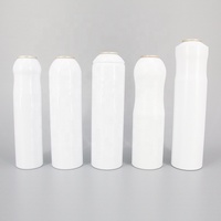 Vente en gros de bombes aérosol vides en aluminium Bouteilles en aluminium de qualité pour vaporisateur d'ambiance avec Meta 250 ml
