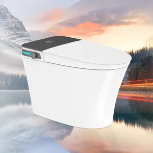 TEJJER Modern Automatic flushing electric one piece voice control smart toilet