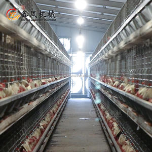 Tavuk çiftlik ekipmanları H tipi pil kafesleri damızlık horoz kafes damızlık kafesleri destekleyen çok katmanlı çerçeve - Product Image 5