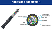 Cable de fibra óptica de alta velocidad GYFTY Ultimate Fiable para uso en exteriores con transmisión de datos sin costuras