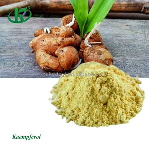 Kedeyi <span class=keywords><strong>Kaempferia</strong></span> <span class=keywords><strong>Galanga</strong></span>エキス98% 天然Kaempferolパウダー - Product Image 2