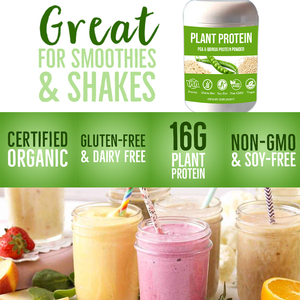 Organik bitki bazlı Protein tozu 16g Protein 24% DV Vegan düşük Net karbonhidrat glutensiz süt içermeyen şeker eklenmedi - Product Image 6