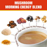 Qinshantang Marque Privée Biologique Naturelle Instantanée Mélange de Dix Champignons (Crinière de Lion, Reishi) en Poudre de Café Qualité Alimentaire en Bouteille, en Boîte ou en Fût
