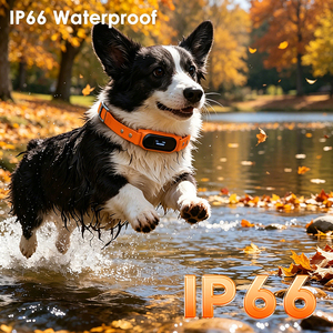 Long Battery Lightweight Dog Rechargeable Real Time Mini Pet <strong>Tracking</strong> <strong>Device</strong> GPS Dog <strong>Cat</strong> Collar Locator Tracker Collar for <strong>Cats</strong> - Product Image 6