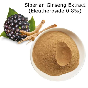 Großhandel Ele uthero Wurzel extrakt 10:1 20:1 Sibirisches Ginseng wurzel extrakt pulver Massen preis Sibirisches Ginseng extrakt pulver - Product Image 4