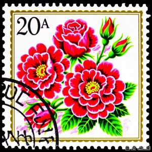 2022 Mountain Flora Wild Flowers Garden Forever Timbres-poste de première classe-Fleurs de jardin - Product Image 6