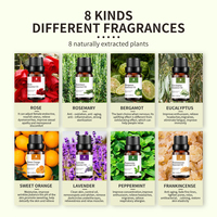 Huile essentielle de bergamote, d'eucalyptus et de lavande pure naturelle en gros, marque privée, aromathérapie, massage corporel, spa, ensemble d'huiles essentielles