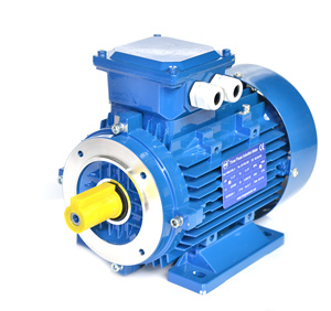 Moteur à induction AC pour ligne de production industrielle 110V 120V 220V 220 380 400 415 Volt 230V 240V 380V 400V 415V - Product Image 1