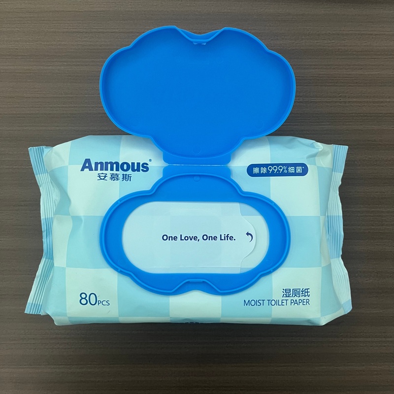 ANMOUS Chinese Household Professional Wet Toilet