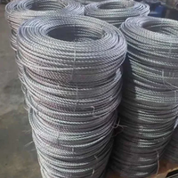 Chinesische Fabrik Maßgefertigtes 7x7 2,5mm Stahlseil - PVC/PA/Nylon Beschichtetes Hochfestes Verzinktes Flugzeugkabel