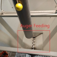 Équipement d'élevage avicole : Système de sol pour poulets de chair avec ligne d'abreuvement et d'alimentation