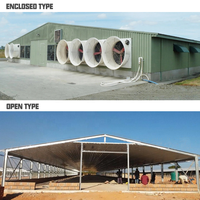 Poultry Farm Building Steel Structure Chicken House Design