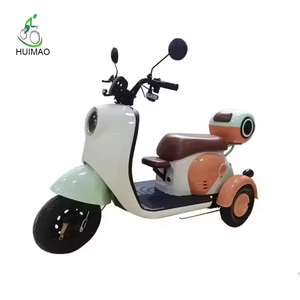 Tricycle électrique à moteur à 3 roues utilisé pour désactiver le tricycle à moteur tricycle électrique pliant - Product Image 5