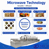 Machine de séchage industrielle à micro-ondes PLC CE entièrement automatique pour herbes séchées, feuilles de laurier et feuilles de baie en continu