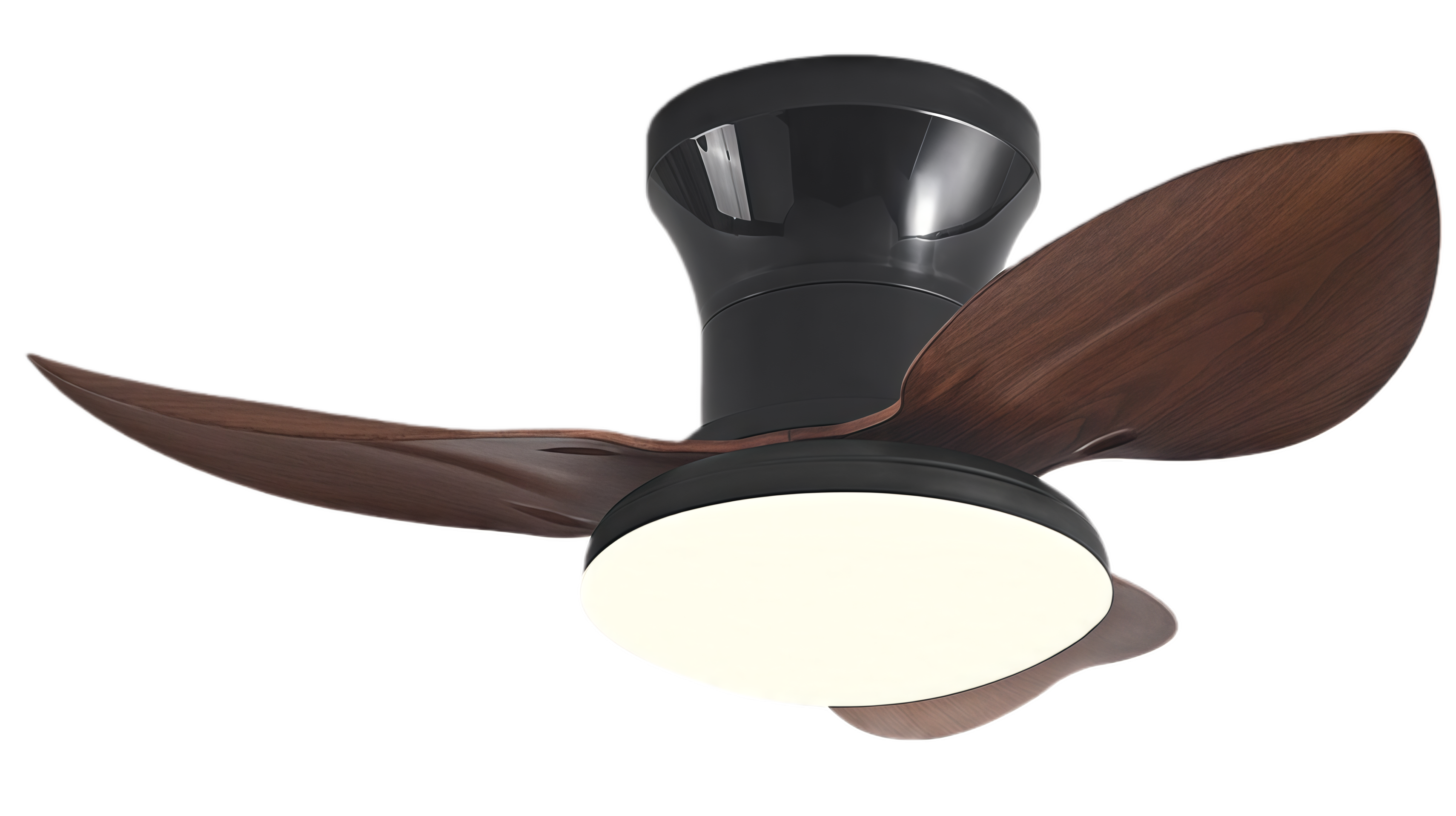 ไม้วอลนัท