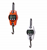 Capacité 30-300KG d'outils de pondération numérique d'échelle de mini grue électronique portative avec l'écran d'affichage à cristaux liquides