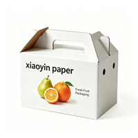 Boîte à fruits en carton ondulé personnalisée avec poignée, auto-érectible, impression CMYK 4 couleurs, emballage portable pour produits frais