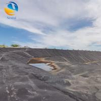 Geomembrana de HDPE de Grado Industrial, Solución Antifiltraciones para Minería, Presas, Vertederos, Estanques de Peces, Revestimientos para Estanques de Evaporación