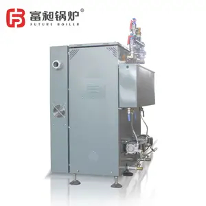 High Quality Low Price 35-40kg/H 27kw Electric Steam Generator Electric Milk Boiler