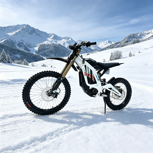 Moto électrique tout-terrain Surron 2026 Light Bee 10 kW, roues de 19 pouces, vitesse maximale 80 km/h, moteur électrique 10 000 W - Product Image 6