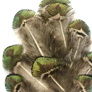 Wholesale Cheap and high quality 4-8 cm golden Peacock head Feathers for decoration
