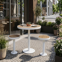 Table de bar extérieure personnalisable, plateau en bois HPL imperméable, base en acier galvanisé, table ronde de jardin, patio, café, bistrot, mobilier