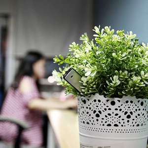 Grabadora de Voz USB SVR003, 8GB, 90H de Almacenamiento, Formato WAV, 8H de Grabación Continua - Product Image 6