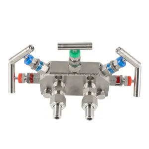 Hongji 1/2"NPT Female Stainless Steel Pressure Gauge Valve Instrumentation 5 Valve Manifolds 5 Way Manifolds Valve