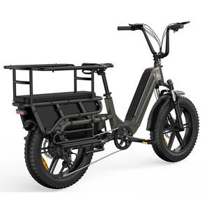 Vélo <span class=keywords><strong>cargo</strong></span> électrique OEM à longue portée, vélo <span class=keywords><strong>cargo</strong></span> électrique 750 W, prix d'usine, vélo <span class=keywords><strong>cargo</strong></span> électrique de haute qualité avec moteur 750 W - Product Image 4