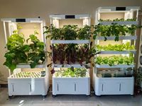 Jardinière hydroponique verticale intelligente personnalisable à plusieurs niveaux, arrosage motorisé, culture sans sol écologique, facile à utiliser pour la maison
