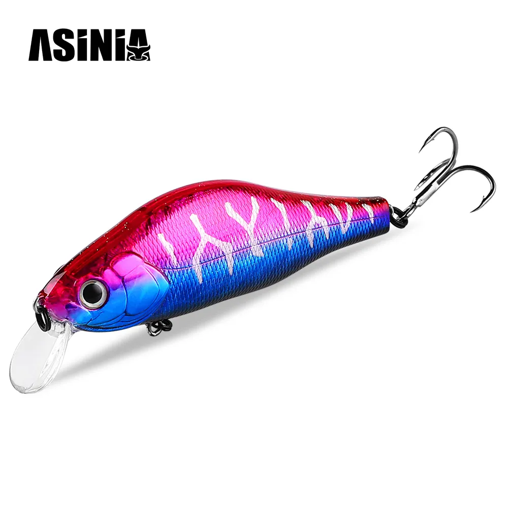 ASINIA 106mm 30g SP Depth1-1.5m üst balıkçılık Lures wofishing sert yem kaliteli profesyonel balıkçılık için Minnow mücadele