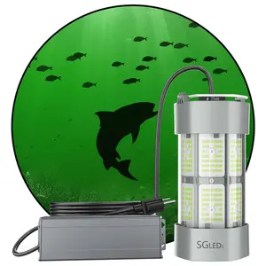 Wholesale flounder light for A Different Fishing Experience –