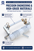 Fusible de coupure 24 kV 630 A HRW11-10 avec isolateur composite 50 Hz pour protection de ligne aérienne montée sur poteau de distribution extérieure