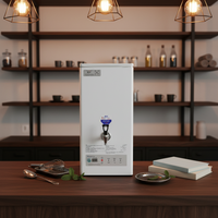 Système de robinet d'eau bouillante instantanée, chauffe-eau électrique, bouilloire électrique pour faire bouillir l'eau, urne pour faire bouillir l'eau