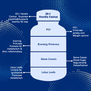 Bán chạy nhất Mega giảm béo thảo dược chất béo Burner viên nang, đầy đủ/trên cơ thể chất béo giảm, nhanh chóng hành động giảm cân viên nang - Product Image 5