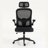 Échantillon Gratuit - Chaise de Bureau en Maille Haut de Gamme, Réglable, Durable, Ergonomique avec Support Lombaire, Pivotante à 360°, Roulettes Fluides, pour Adultes au Travail