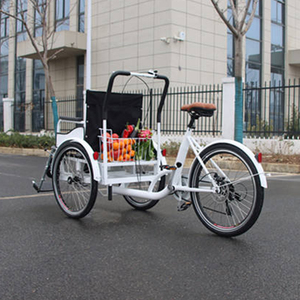 Risciò per Auto risciò elettrico Pedicab per passeggeri turistici per anziani - Product Image 4