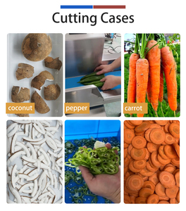 FTS-170 Multi-functional Vegetable Cutter <b>Machine</b> 1-60mm PLC Controller Salad Vegetable Cutting <b>Machine</b> - Product Image 2