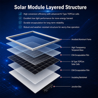 Panneau solaire 600W en gros, module photovoltaïque haute puissance pour système énergétique sur réseau ou hors réseau, pour toiture