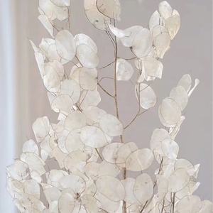 Naturel bouquet de fleurs sèches en gros préservé décoratif vraies fleurs séchées <span class=keywords><strong>lunaria</strong></span> <span class=keywords><strong>annua</strong></span> - Product Image 3