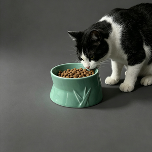 Modern <b>Ceramic</b> Pet Bowl Green Non-Slip Design for <b>Dogs</b> Indoor Use - Product Image 4