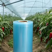 Film PE à haute transmission lumineuse anti-UV pour serres agricoles, idéal pour l'élevage de plantes en pleine lumière