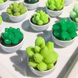 Juguete de Cactus en Miniatura de Resina Colorida, Juguete Antiestrés de Plástico para Aliviar el Estrés, Unisex - Product Image 4