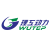 Wuhan Ligong Tongyu New Energy Power Co., Ltd. logo