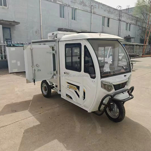รถบรรทุกตู้เย็น 1000W ขายดี รถสามล้อตู้แช่แข็ง ตู้เก็บความเย็น สำหรับส่งของ - Product Image 4