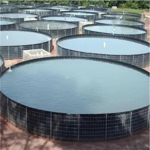 Fabricante de geosintéticos la cría de pescado revestimiento de estanque tanque hoja negro 1,0mm impermeable Hdpe Geomembrana