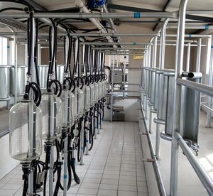 Macchina per la Mungitura a Montaggio Centrale: Protegge la Salute delle Mucche da Latte, Migliora la Qualità del Latte, Garantisce la Purezza e la Sicurezza del Latte Grezzo dalla Fonte - Product Image 5