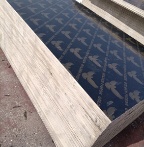 Contrachapado de Construcción de Buena Calidad 4x8, Contrachapado Recubierto con Película Negra, Tableros de Encofrado para Hormigón - Product Image 1
