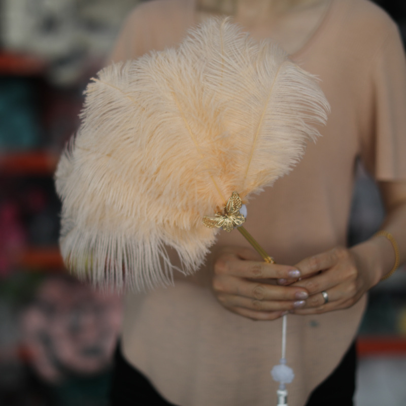 Papillon couleur champagne avec poignée dorée.