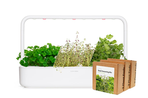 Big Steak Assaisonnement Kit Smart Garden 9x Thym Frisé Persil Coriandre Plante Dosettes Plus 3x <span class=keywords><strong>Basilic</strong></span> 3x Mini Pots De Fleurs Jardinières - Product Image 4